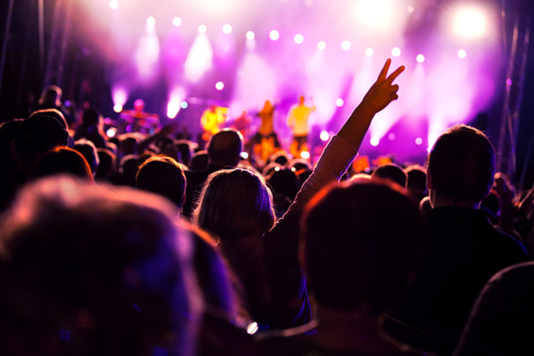 concert audience