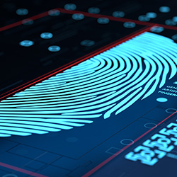 Insights into biometric privacy laws