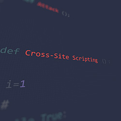 Understanding the threat of xss